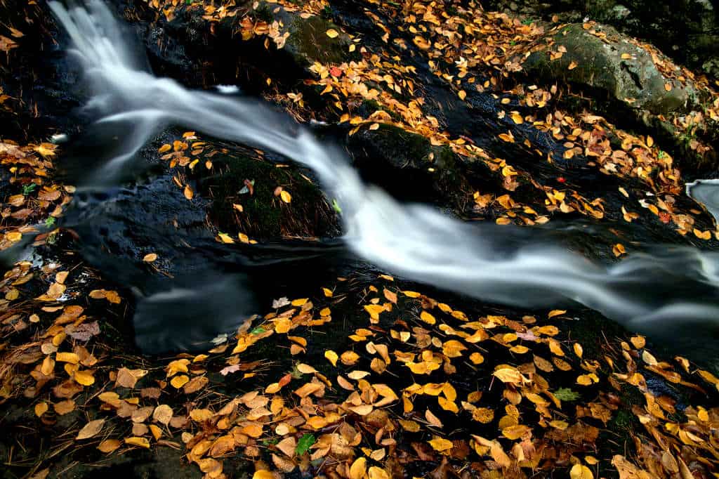 autumn cascade creek 675958_result